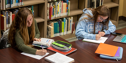 two students studying in the library