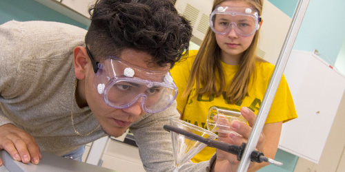 students in a biology lab