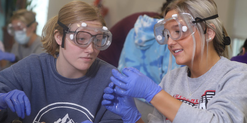 students conduct expriment while wearing gloves